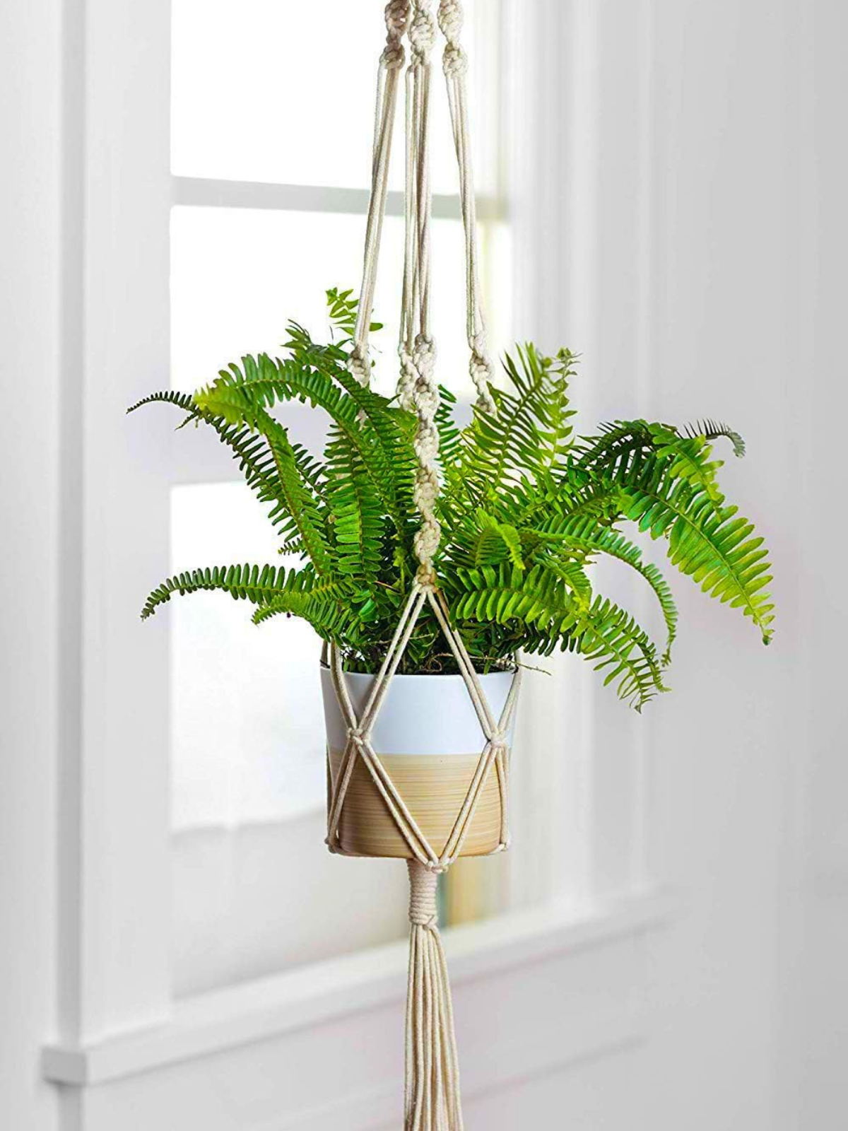 Hanging macrame plant holder